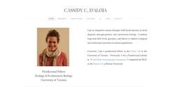 Desktop Screenshot of cassidydaloia.com